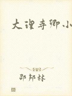大理寺卿小说封面