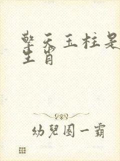 擎天玉柱是什么生肖封面