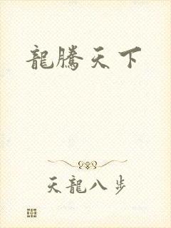 龙腾天下封面