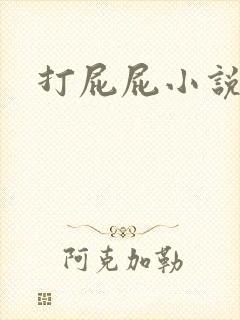 打屁屁小说