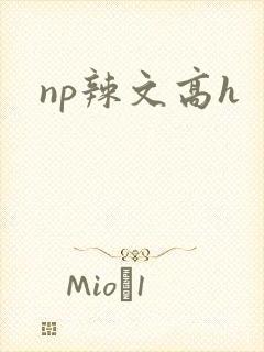np辣文高h
