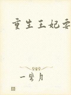 重生王妃要和离