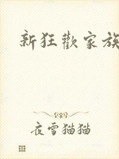 新狂欢家族小说封面