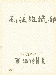 风流组织部长封面