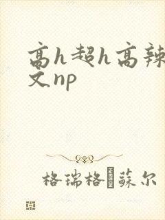高h超h高辣h文np