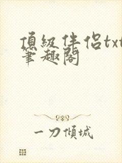 顶级伴侣txt笔趣阁