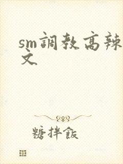 sm调教高辣h文封面
