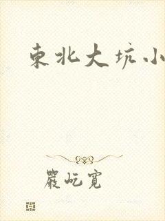 东北大坑小说