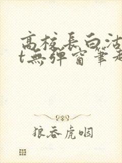 高校长白沽txt无弹窗笔趣阁封面