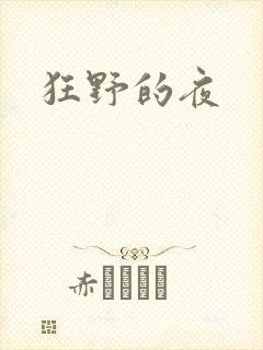 狂野的夜封面