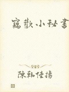 窃欢小秘书封面