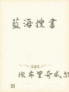 蓝海搜书