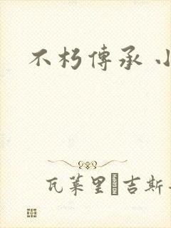 不朽传承 小说