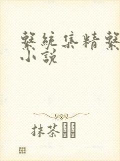 系统集精系统 小说