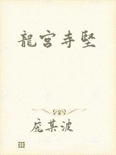 龙宫寺坚封面