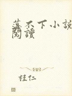 落不下小说免费阅读