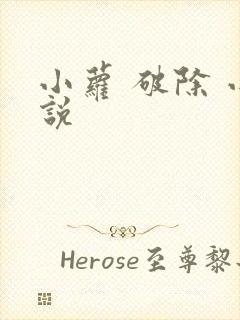 小萝 破除 小说