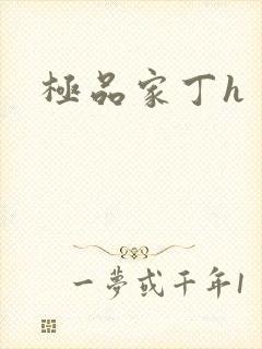 极品家丁h