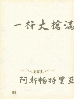 一杆大枪满屋扫封面