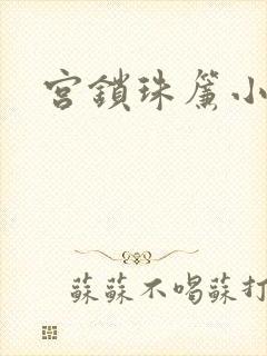 宫锁珠帘小说