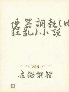 便器调教(肉体狂乱)小说封面