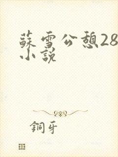 苏雪公憩28篇小说