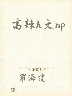 高辣h文np
