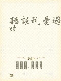 听说我爱过你txt封面