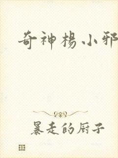 奇神杨小邪