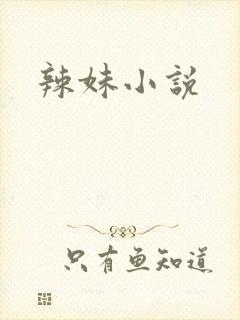 辣妹小说