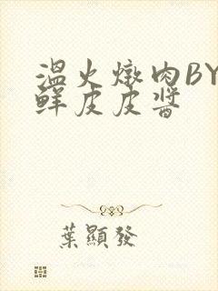 温火炖肉BY海鲜皮皮酱