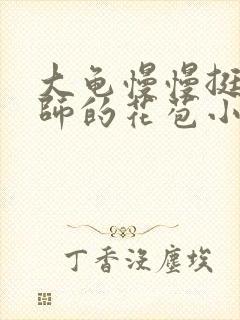 大龟慢慢挺进老师的花苞小说封面