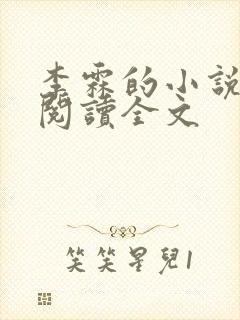 李霖的小说免费阅读全文