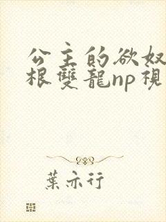 公主的欲奴h四根双龙np视频