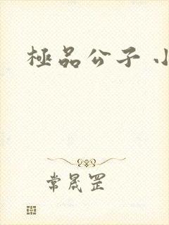 极品公子 小说