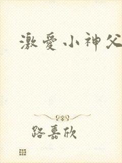 激爱小神父封面