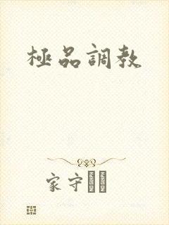 极品调教