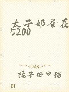 太子奶爸在花都5200封面