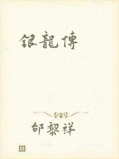 银龙传封面