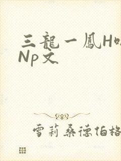 三龙一凤H啪肉Np文