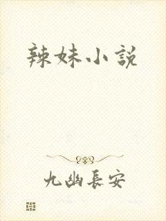 辣妹小说