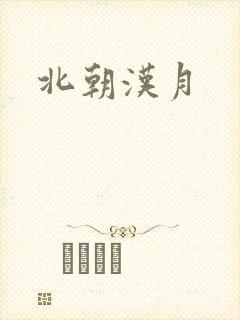 北朝汉月封面