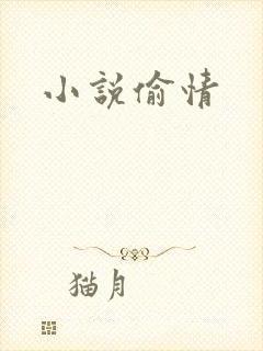 小说偷情封面