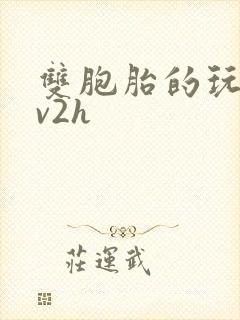双胞胎的玩具1v2h