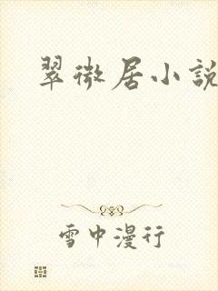翠微居小说