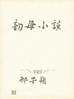 韵母小说