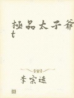 极品太子爷txt