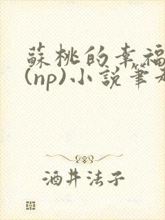 苏桃的幸福生活(np)小说笔趣阁