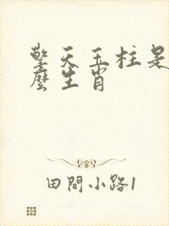 擎天玉柱是指什么生肖