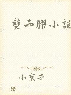 双面胶小说